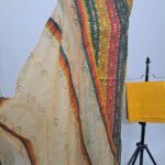 Yasira pakistani inspired embroidery